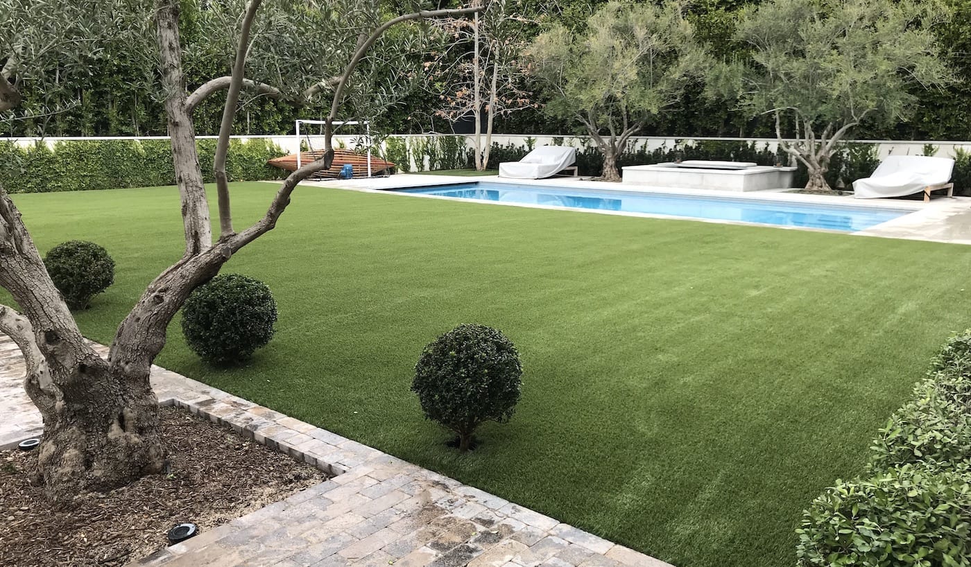 ForeverLawn Fusion Installed in Backyard