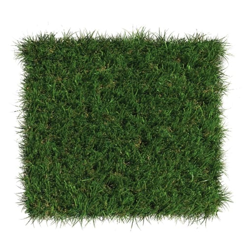 DuPont ForeverLawn Select VR