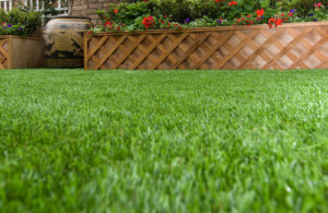 turf synthetic grass - backyard turf